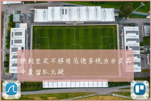 热刺坚定不移将范德芬视为非卖品今夏留队无疑