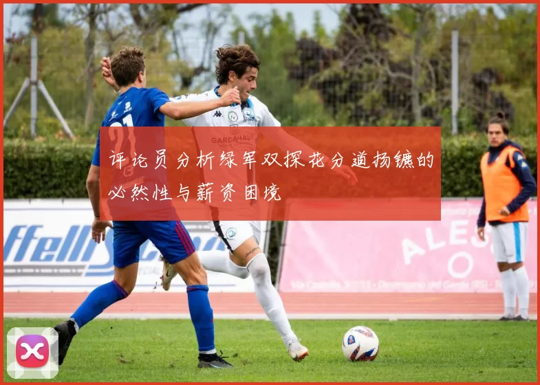 评论员分析绿军双探花分道扬镳的必然性与薪资困境