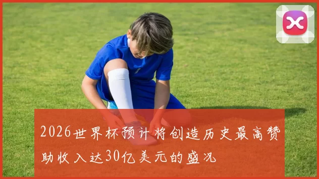 2026世界杯预计将创造历史最高赞助收入达30亿美元的盛况